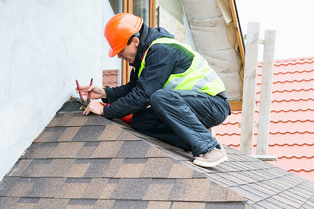 Best Roof Gutter Cleaning  in Rio Rico, AZ